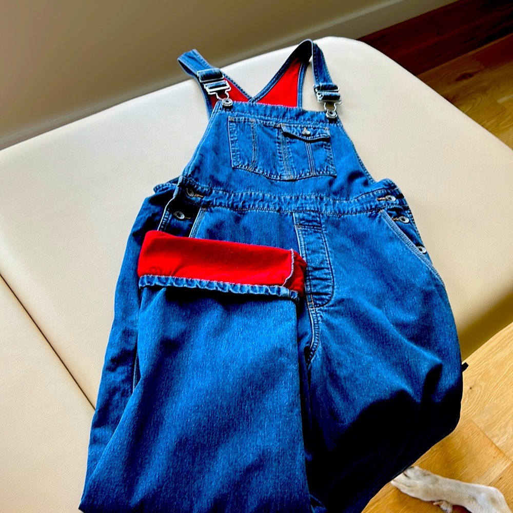 Gap overalls with fleece inside.